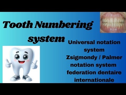 Tooth numbering system simplified | universal Notation system | Zsigmondy/palmer notation system|FDI