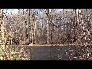 Noon siren ambiance - Sentry 10V, Federal Signal Model 2, Sterling M-10? Manchester, NY 12/14/21