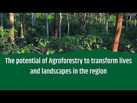 Webinar: The potential of agroforestry to transform lives and landscapes in the region