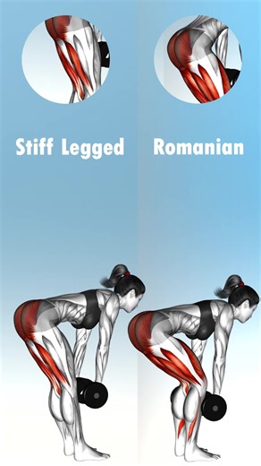 Who Should Know? 🤔