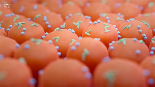 A study published in Microbiome discusses how Mix7, a consortium of seven commensal bacteria, has a barrier effect against vancomycin-resistant enterococci and promotes overall restoration of microbiota functions. Link in the comments. | BMC