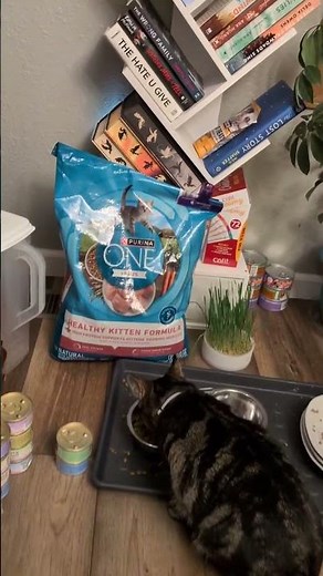 The only dry food we've ever fed our kitties