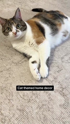 Turning Piper into PiCATso with Adobe Illustrator