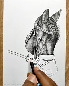 4.3M views · 18K reactions | Learn To Draw Horse - Like a Pro | Did you know? | Facebook
