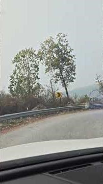 Beautiful View Of Bastiya Tanakpur//Dil Kya Kare// Cover Song #view #roadtrip