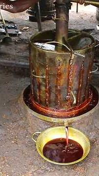 Palm oil production process in Nigeria