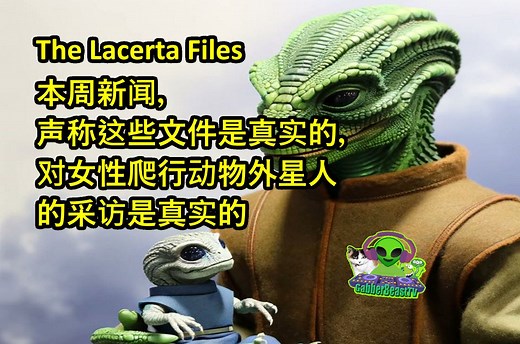 the lacerta files 已被证实为事实，采访了女性爬行外星人。UFO UAP 外星人飞碟 飞船 飞碟 不明 draco reptilian