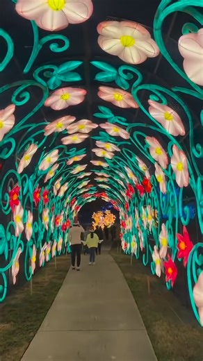 This Friday, Radiant Nature returns to the Houston Botanic Garden with all-new installations including larger-than-life light tunnels, a marketplace, and more!🐲✨⁠ https://shorturl.at/N1wqO 📸@instagram.com/ericeatshtx | Secret Houston