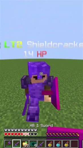 Beating a LT2 in SMP #minecraft #minecraftguide #guide #hypixel #minecrafthowto #pvp #bedwars