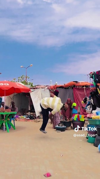 Tiger Videos Compilation: Fun Moments with Tigers