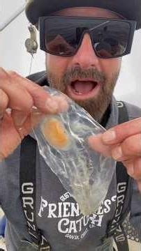 Sea Salp #friendliestcatch #fishing