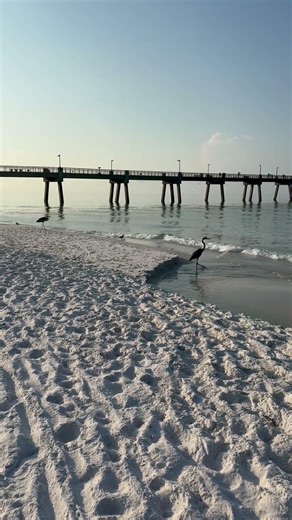 Wave Therapy 🌊 Okaloosa Pier ￼