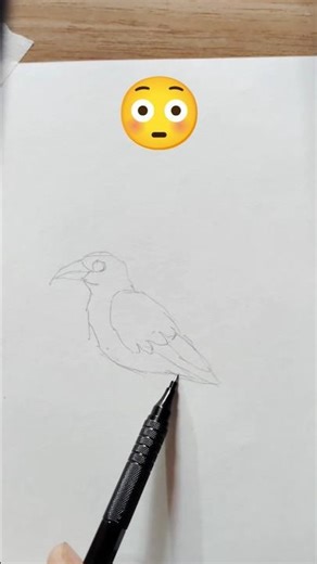 how to draw a crow | crow drawing