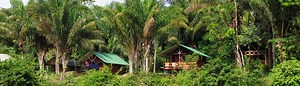 Jungle Resort Pingpe - Jenny Tours Suriname