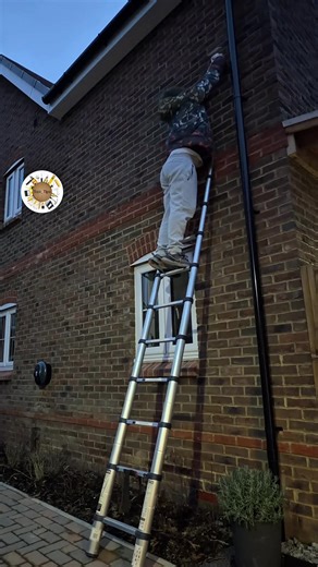 Why You Need a Household Ladder