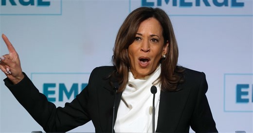 Kamala Harris' speech condemns Trump's first 100 days, calls on Democrats to band together