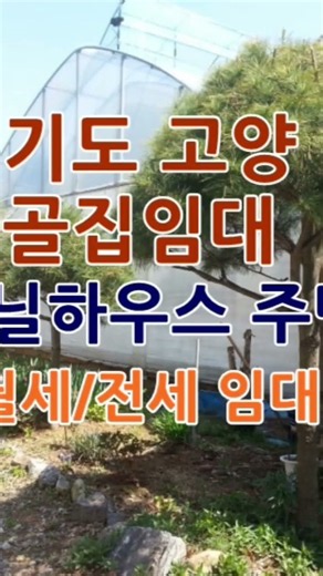 시골집임대- 경기도 시골집 촌집 농가주택 임대