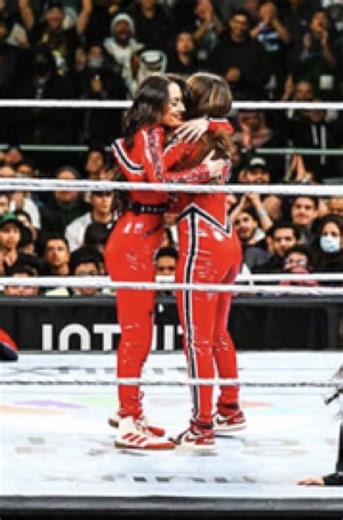 Brie Bella: A Heartfelt Message to the Bella Army