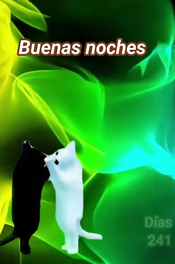 Buenas Noches Familia Meme - Vídeos de Feliz Noche y Buenos Días