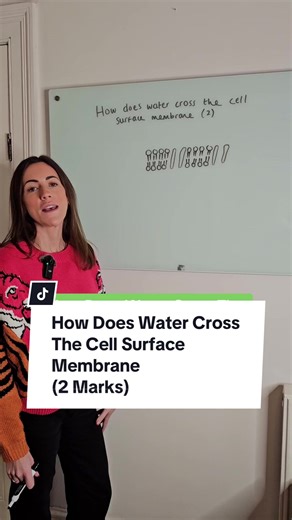 Understanding Water Movement Across Cell Membranes