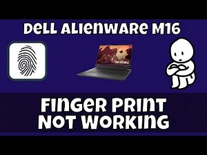 Dell Alienware M16 Fingerprint not working