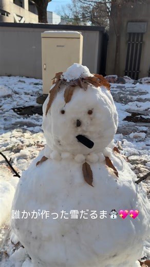 坂本 真樹 on Instagram: "大雪の週末明け月曜日 電気通信大学に行ってみたら 発見💡😳😳😳⛄️✨💖 #雪だるま #大雪 #積雪 #電気通信大学 #uec"