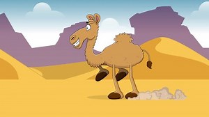 Funny Camel Cartoon Character Running Through Stock Footage Video (100% Royalty-free) 3900806449 | Shutterstock