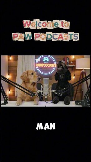 Chew-Toy Inflation Crisis! 🐶💸 (Dog Podcast Chaos) #shorts