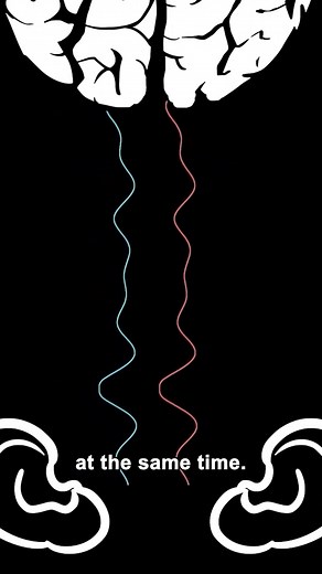 176K views · 2.9K reactions | Interaural time difference and how to find your phone instantly. | Steve Mould | Facebook