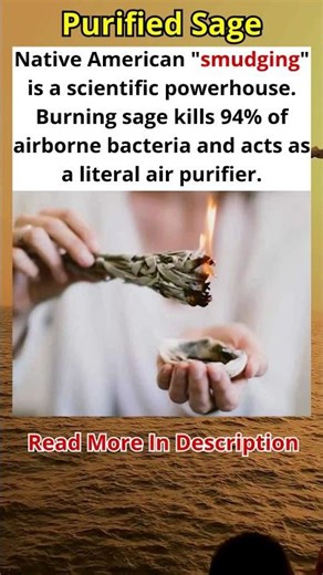 Does Burning Sage Actually Purify the Air 🌿
