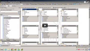 Toad Data Point Uses and Benefits