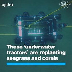 When human divers can't reach the seabed, these underwater robots swim to the rescue. Marine biologist Chris Oakes says his company's technology is designed to support conservation efforts. Reefgen is a winner of UpLink's Regenerative Blue Economy Challenge. Find out more about the winners here: https://wef.ch/4fu7ple UpLink - World Economic Forum وزارة الاقتصاد والتخطيط The_WAVE_Global #Ocean #BlueEconomy #OceanProtection #Regeneration #EcosystemRestoration | World Economic Forum