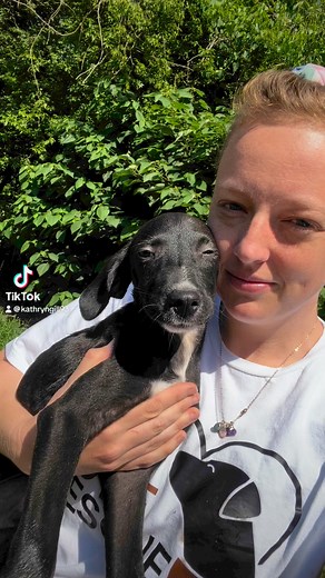 2K views · 57 reactions | Jack Sparrow is not mischievous at all but he does get almost everything he wants! He’d love a forever home more than anything. Apply today https://www.petsaversshreveport.org/adoption-application/ | Pet Savers of Shreveport | Facebook