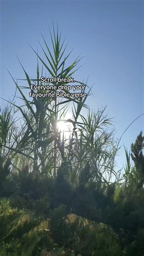 Inspiring Bible Verses to Strengthen Your Faith