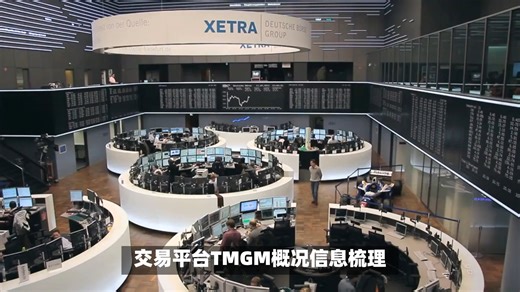 TMGM平台介绍：从成立背景到产品服务的全面梳理