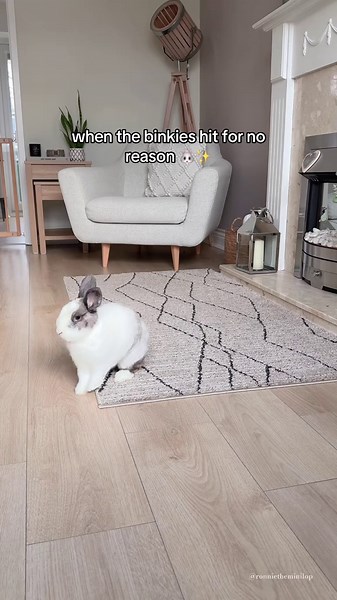 When the binkies hit for no reason 🐰✨ Just pure happiness in bunny form 🥹🤍 #bunnytok #rabbits #cutebunny #funnypets #bunnylove