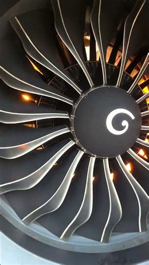 Leap 1B Jet engine fan🥰 #aviation #avgeek #aviationdaily