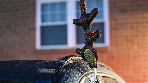 Is it legal to decorate your car for Christmas in Delaware?