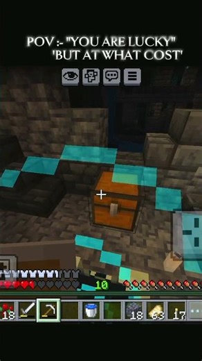 at what cost ? #minecraft #gaming