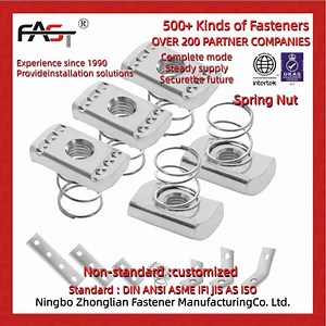[Hot Item] Spring with Zinc Plated Solar Strut Channel Nuts