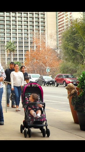 3.7M views · 10K reactions | Bushman Prank: Texas BUSHMAN compilation  | Texas Bushman | Facebook