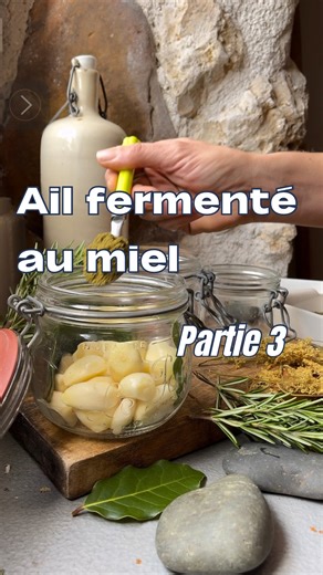 4.8K views · 2.1K reactions | Voilà mes 3 recettes d’ail fermenté au...