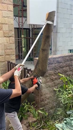 the process of cutting a log using a chainsaw