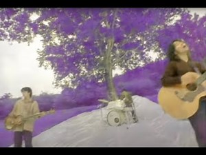 サニーデイ・サービス - NOW [4k Official Video]