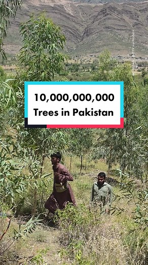 Pakistan's 10 Billion Tree Planting Project for Climate Change
