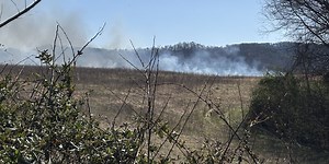 Sevier County crews contain brush fire that burned 30 to 40 acres, Sevierville city officials say