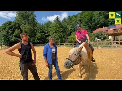 Besuch beim Reiterhof & Pension Märchenmühle bei Berg