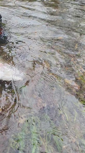 Ticked off and OUTTA HERE! www.gonecatchin.com | Gone Catchin Outfitters