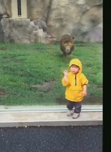 3.9M views · 64K reactions | This is why you never turn your back on a Predator | II M O L e c U L E II | Facebook