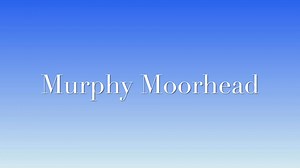 This big, beautiful, flashy gelding is offered for your consideration! He has a stellar record in the show pleasure driving division with numerous wins by multiple drivers! Flat foot walks like a dream! He would also look beautiful in harness with his tail up! He is full of personality and looking for his next partner! Priced very reasonably at only $50k! Call Melissa for more info at 859-533-6225! | Sunrise Stables